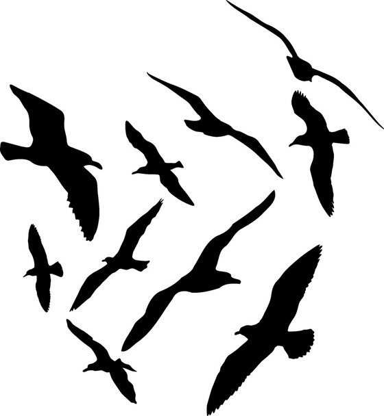 Seagull silhouetten vectorillustratie, set van tien - Vector, afbeelding