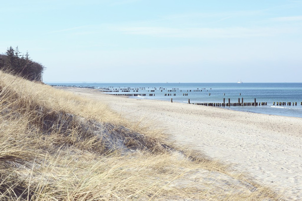 Praia da península de Darss (Mecklenburg-Vorpommern
) - Foto, Imagem