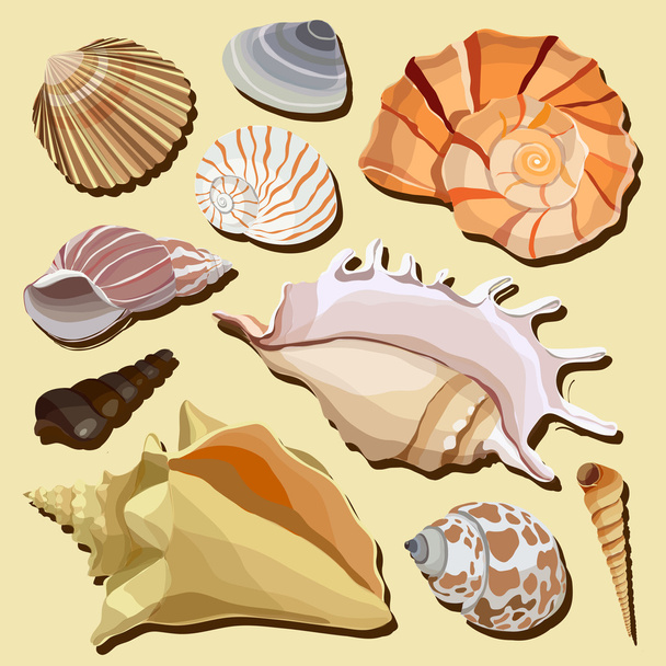 Set of isolated hand drawn seashell icons - Vecteur, image