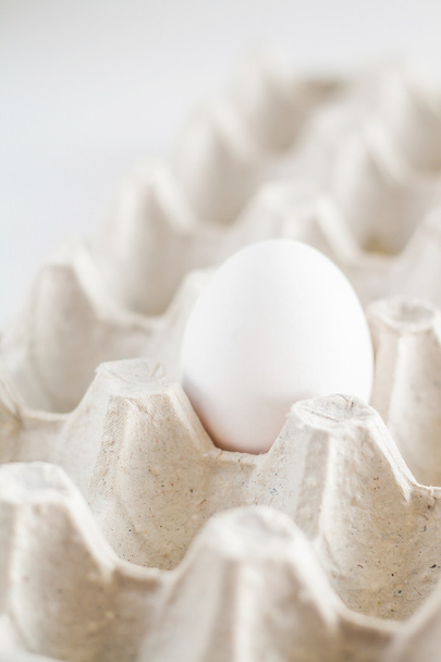 vassoio di cartone un uovo bianco su sfondo bianco
 - Foto, immagini