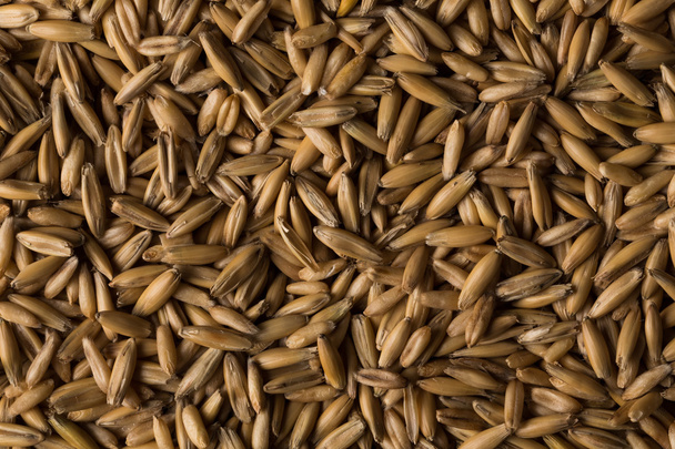natural oat grains background, closeup - Foto, Imagem
