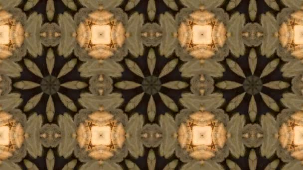 Mosaïque fractale géométrique kaléidoscopique
  - Séquence, vidéo