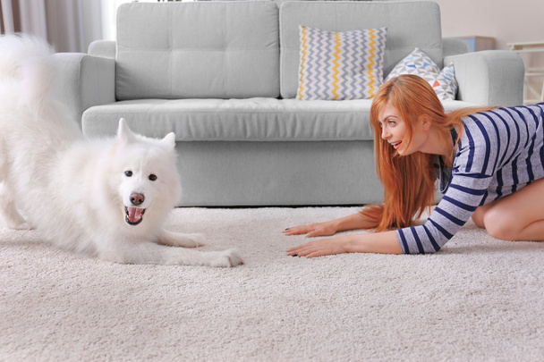 Girl having fun with Samoyed dog - Zdjęcie, obraz