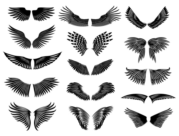 Conjunto de alas simple
 - Vector, imagen