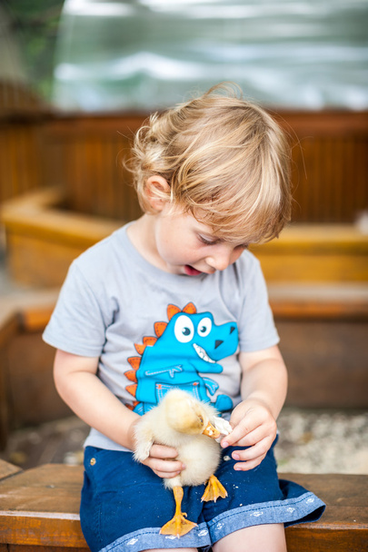 Малыш Тоддлер играет с утятами
 - Фото, изображение