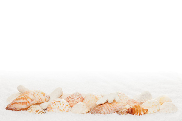 Bordure horizontale de coquille de mer sur fond de texture de serviette blanche
 - Photo, image