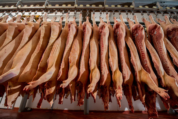 Chopped pig at a factory - Photo, Image