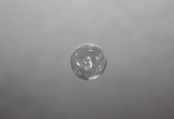 Bubble - Foto, Imagen
