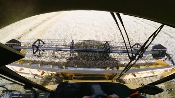 農家のイェロフは、フィールド上の収穫機を組み合わせます - 映像、動画