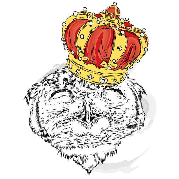Funny owl wearing a crown. Vector illustration for greeting card, poster, or print on clothes. Hipster. Bird clothing. Fashion & Style. - Vecteur, image