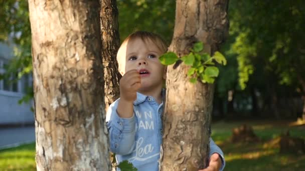 a small child stands next to a tree - Video