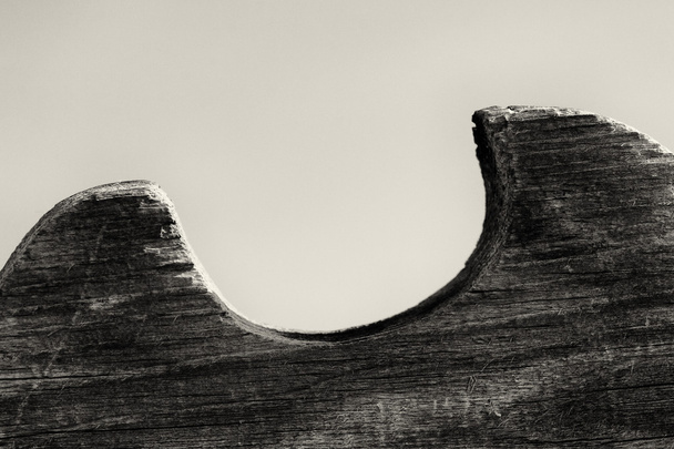 Wood Pattern in Monochrome - Valokuva, kuva