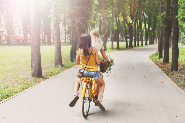 Счастливые шикарные девушки катаются вместе на велосипедах в парке
 - Фото, изображение