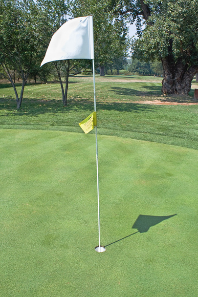 mávání vlajkami Golf - Fotografie, Obrázek