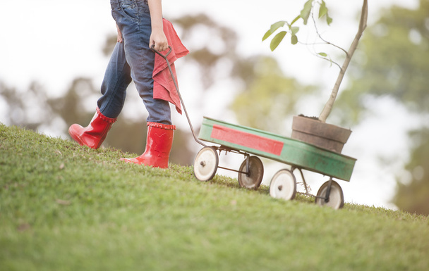  child carrying cart with plant - Foto, Imagen