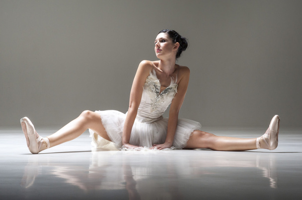 Ballerina posing in the studio  - Valokuva, kuva