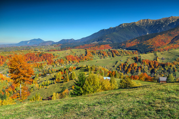 Espectacular paisaje rural otoñal cerca de Bran, Transilvania, Rumania, Europa
 - Foto, imagen