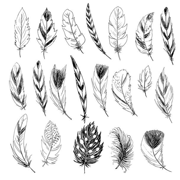 Set of sketchy vintage feathers - Vecteur, image