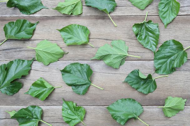 Green Leaves of Mulberry disrupted on brown wooden background. - Photo, Image