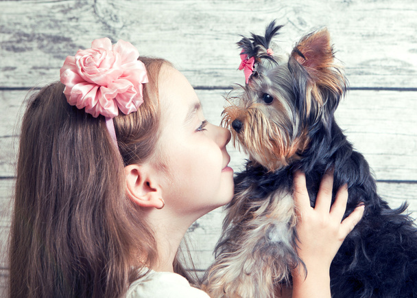 Girl with a Yorkshire Terrier puppy - 写真・画像