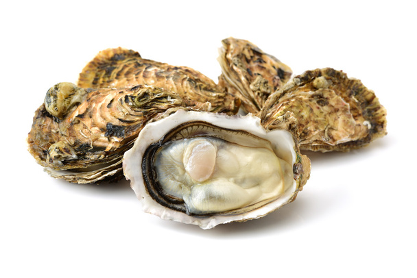 Fresh oysters isolated on white background - Foto, imagen
