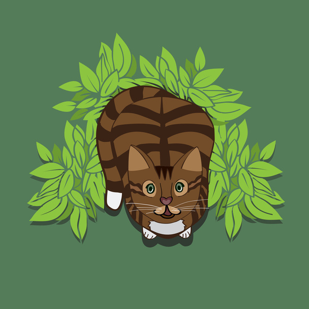 Illustration of brown cat in bush. Cute pet. Animal portrait. - Vector, Image