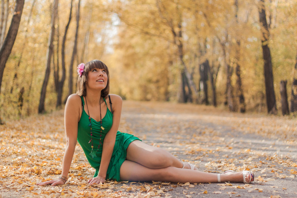 Beautiful girl in autumn park - Photo, image