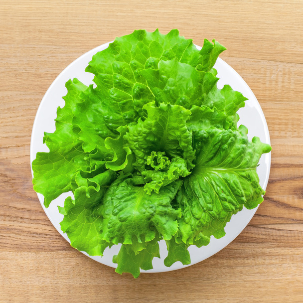  Fresh green lettuce leaves - Фото, зображення