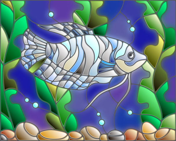 Εικονογράφηση στο λεκιασμένο γυαλί στυλ με μπλε gourami στο φόντο του νερού και φύκια - Διάνυσμα, εικόνα