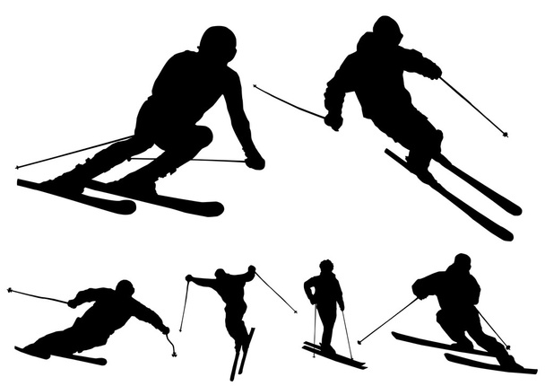 Vectores esquí
 - Vector, imagen