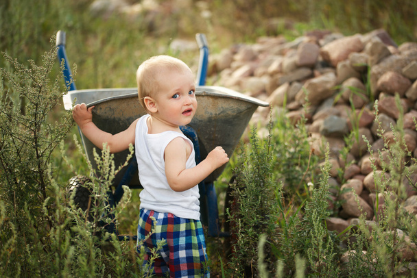 little boy with wheelbarrow - Zdjęcie, obraz