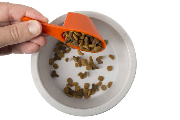 Сухий кіт їжа падає в миску
 - Фото, зображення
