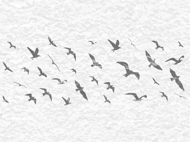 Siluetas de aves voladoras sobre fondo grunge blanco. Ilustración vectorial
 - Vector, imagen