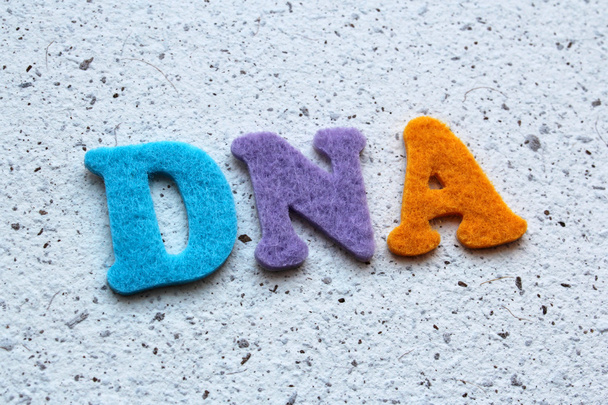 Acrónimo de ADN (ácido desoxirribonucleico) sobre textura de papel hecha a mano
 - Foto, imagen