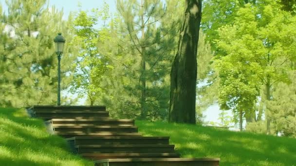 Lépcsők a parkban, a nyári. Park lépéseket zöld erdei környezetben - Felvétel, videó