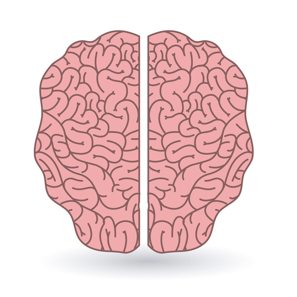 brain human organ isolated icon - Vector, Image