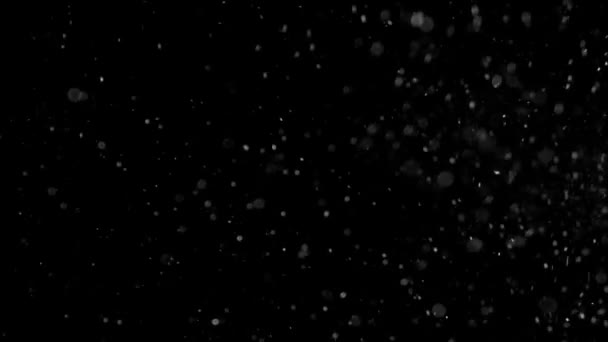 poeira nuvem isolado fundo preto bolha bokeh
 - Filmagem, Vídeo