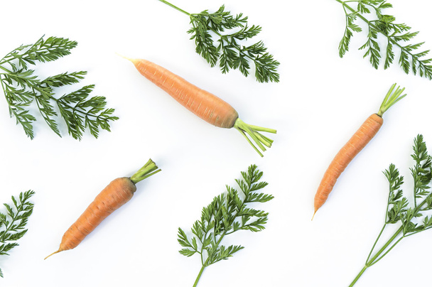 Carrots and carrot tops - 写真・画像