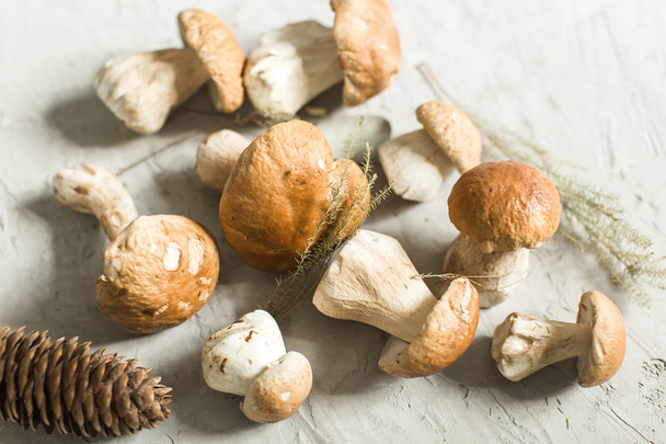 fresh white mushrooms on table - Photo, Image