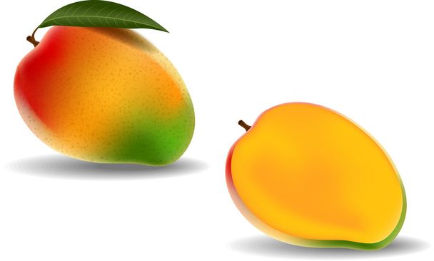 Beyaz arkaplanda taze mango izole edildi - Vektör, Görsel