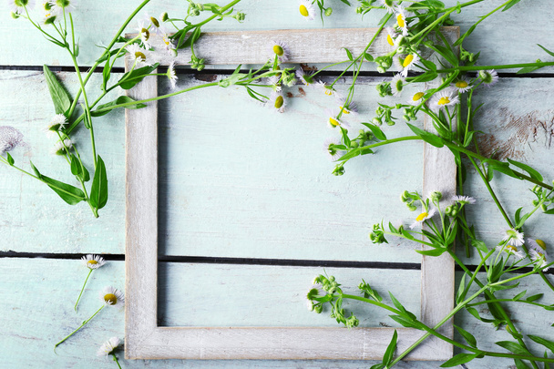 Retro frame with chamomile  - Zdjęcie, obraz