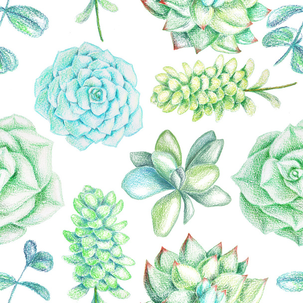 Seamless pattern with succulents and plants - Fotoğraf, Görsel