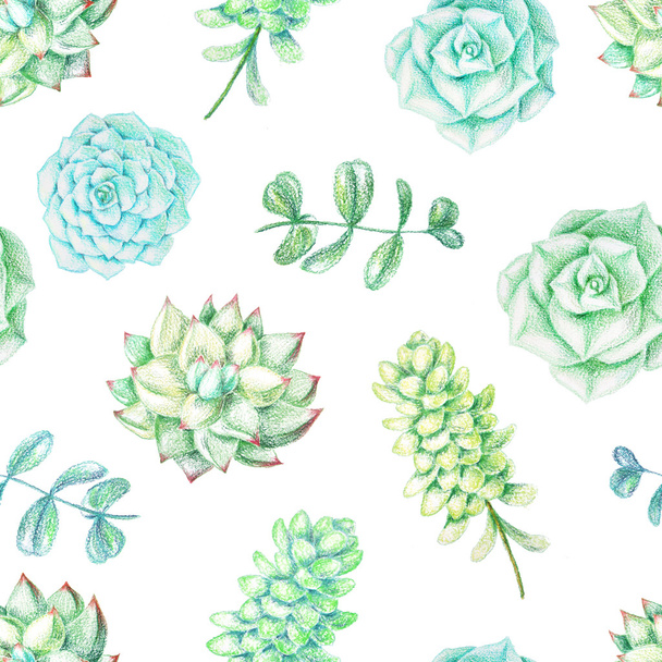 Seamless pattern with succulents and plants - Zdjęcie, obraz