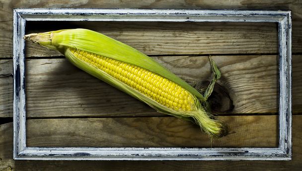 Érett csövesen szedett kukorica, egy régi keretben - Fotó, kép