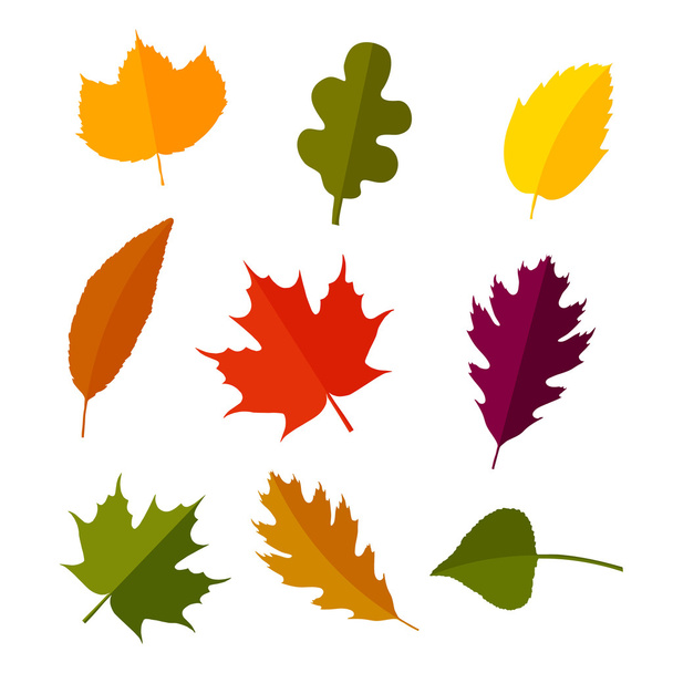 Autumn leaves set in flat style. Isolated on white background. Vector illustration. - Вектор, зображення
