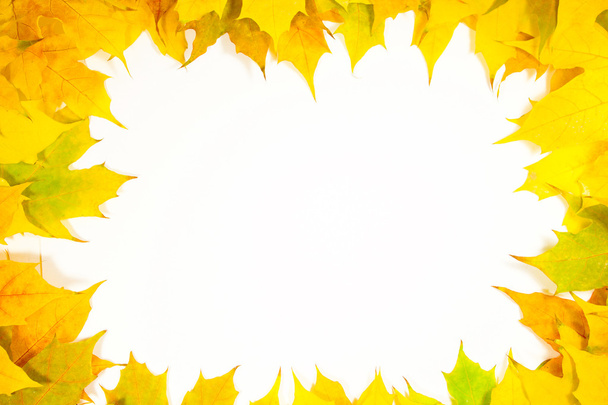 Őszi levelek - Fotó, kép