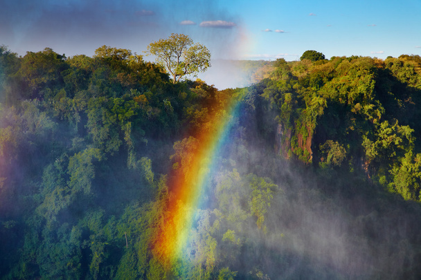 Regenbogen über den Victoria Falls - Foto, Bild