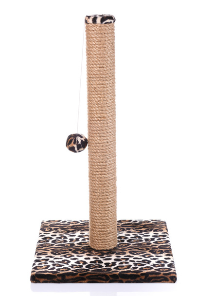 Cat scratching post on a white  background - Photo, Image