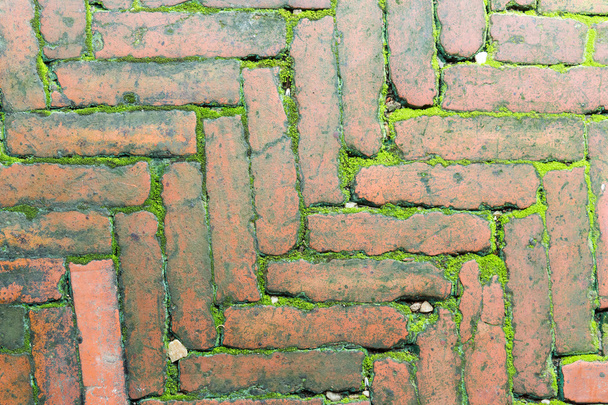 Bricks and moss - Photo, image