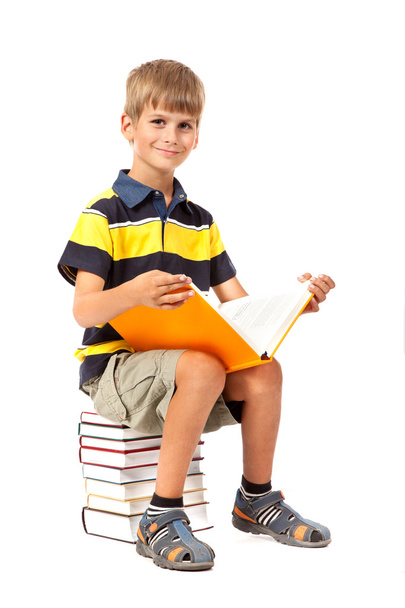 Schoolboy is sitting on books. Back to school - Photo, image